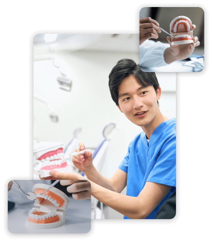 Alexandria Dental Art